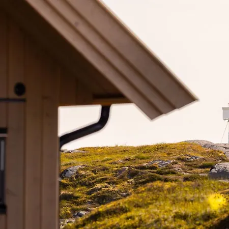 The Panorama - Lofoten Alpesi faház