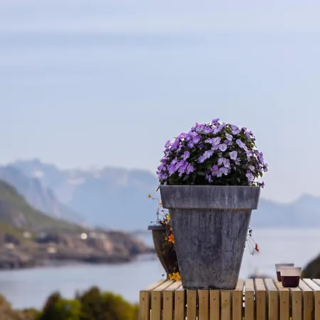 The Panorama - Lofoten *